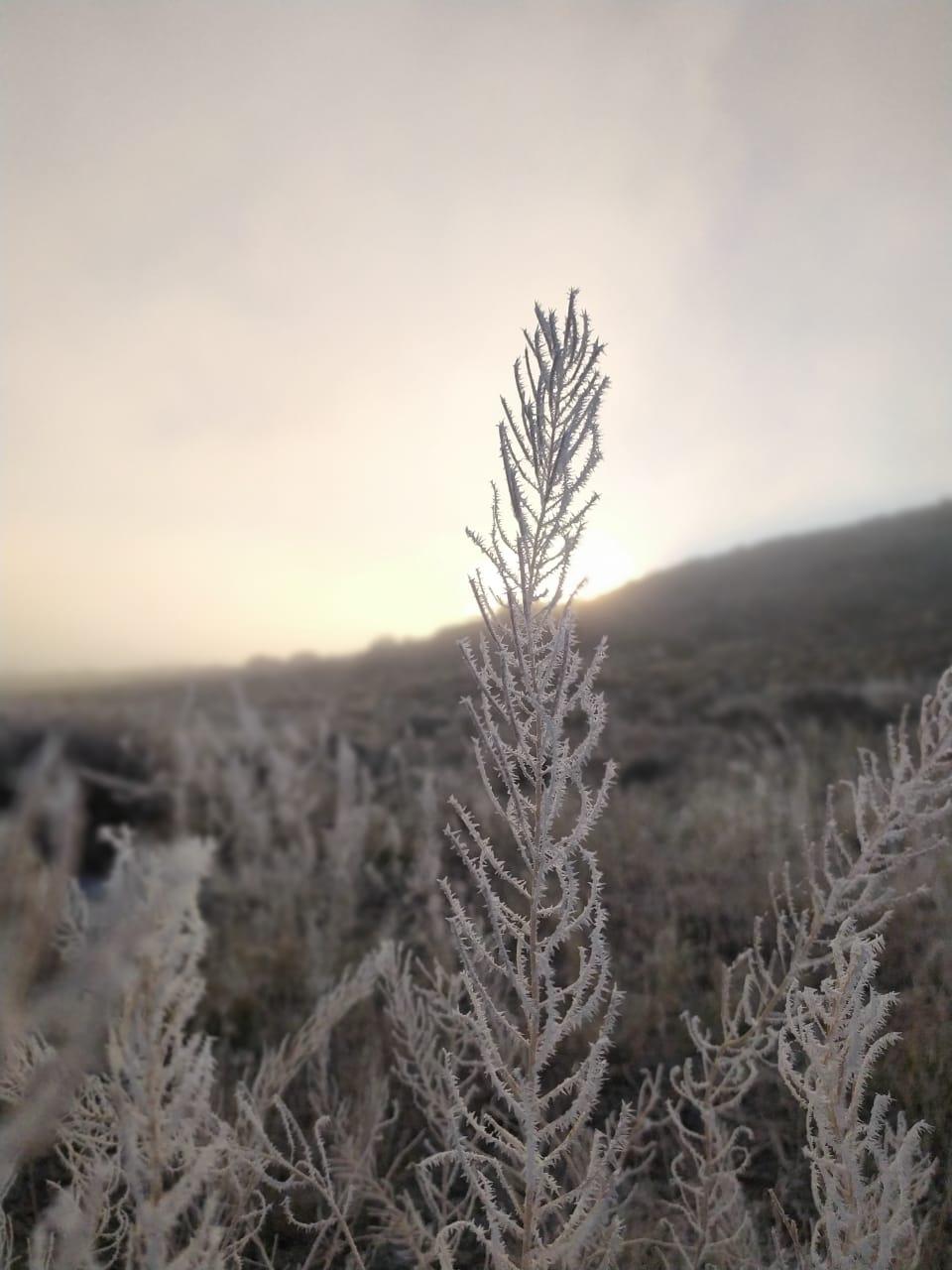 Invierno Parque Patagonia