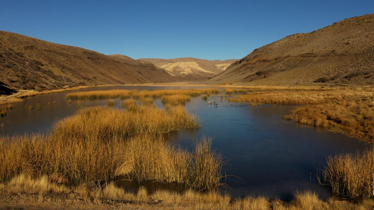 WhatsApp Image 2023-03-20 at 08.29.54