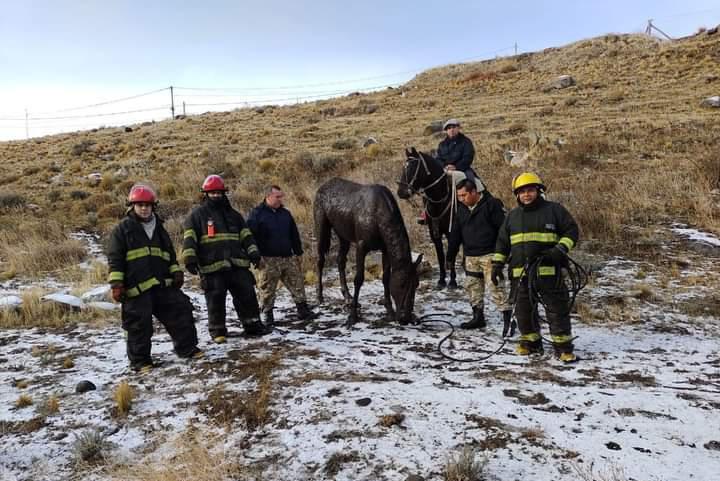 Rescate Caballo 1