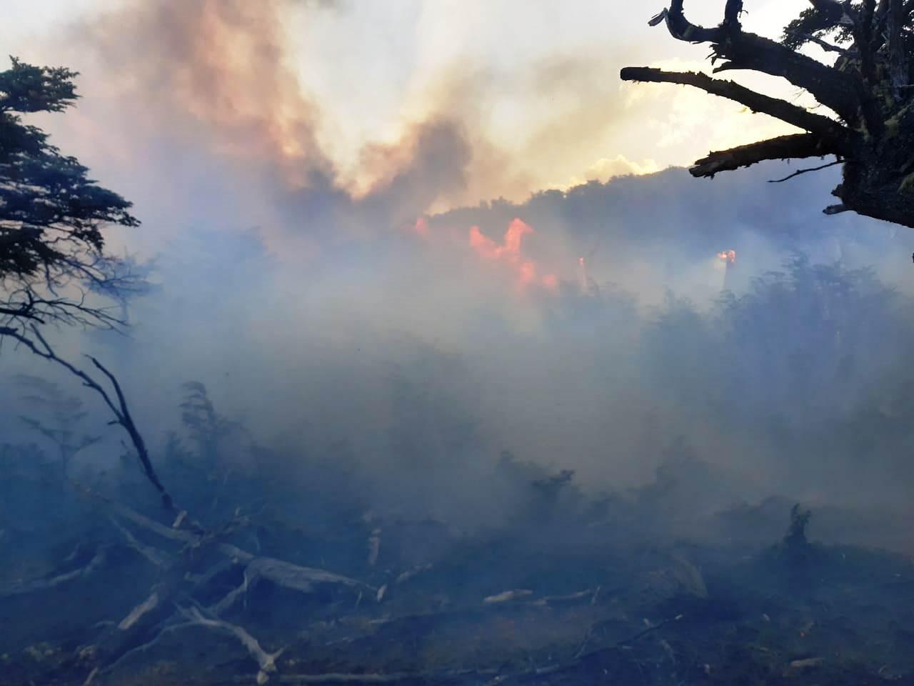 incendio Estancia Cristina