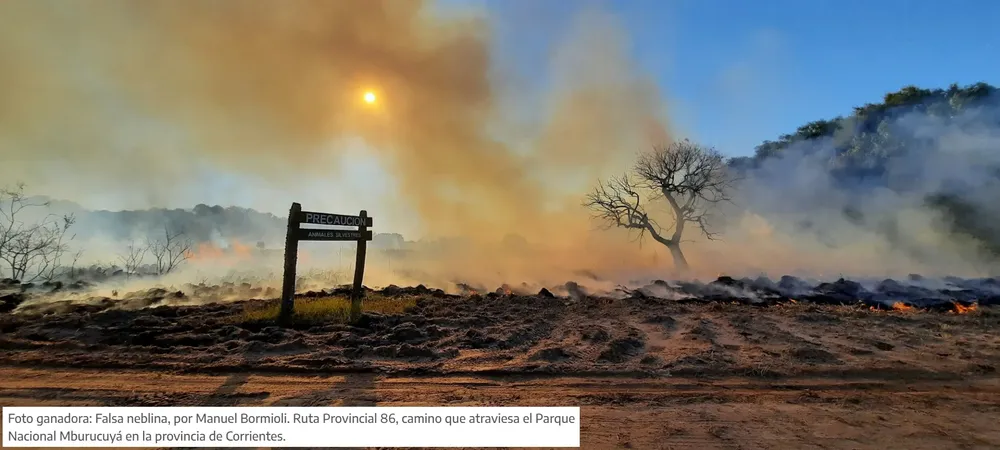 Ganadora PERSONAL APN