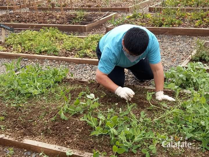 WhatsApp Image 2021-10-03 at 16.48.08 [AUDIO FMD]