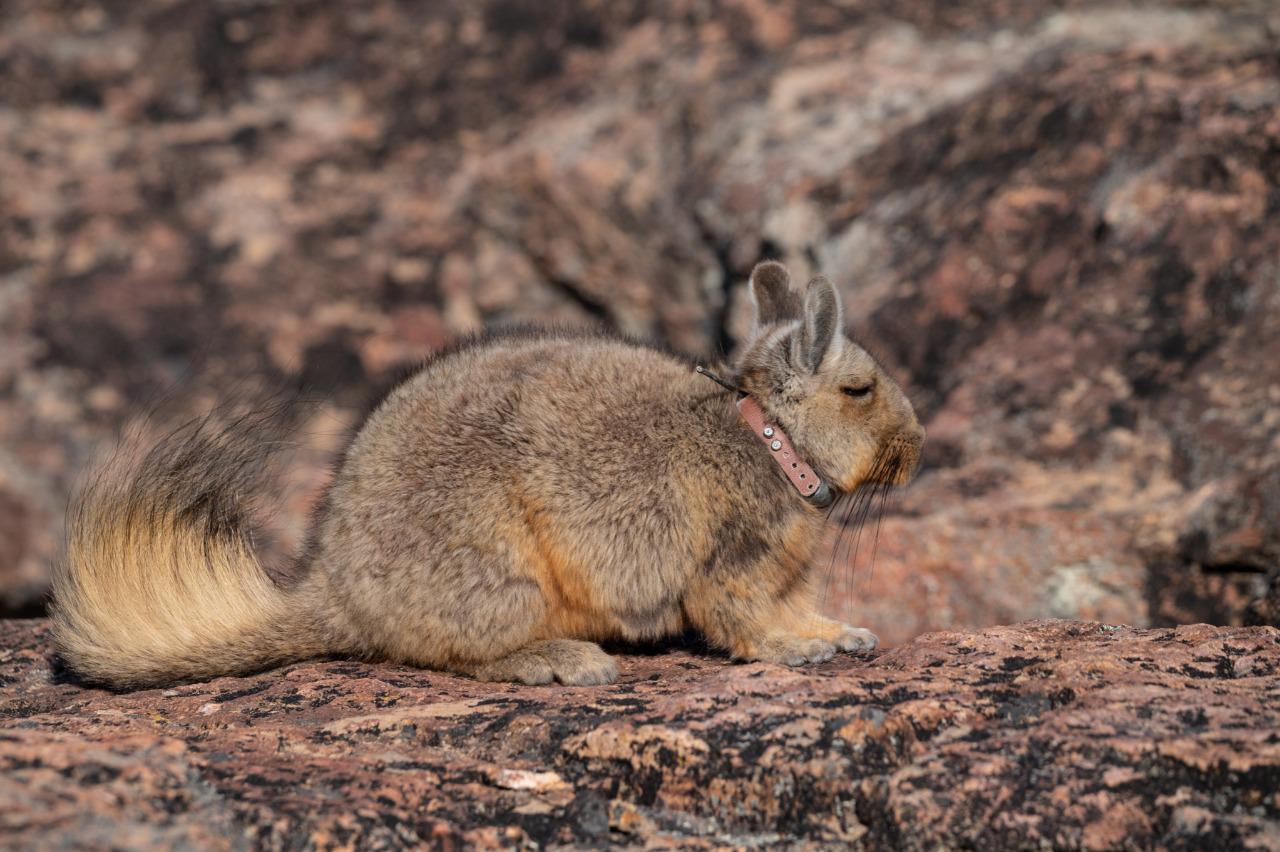 WhatsApp Image 2021-12-15 at 14.08.59