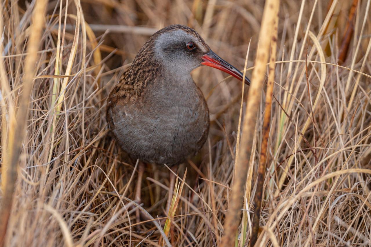 WhatsApp Image 2023-03-20 at 08.29.54 (1)