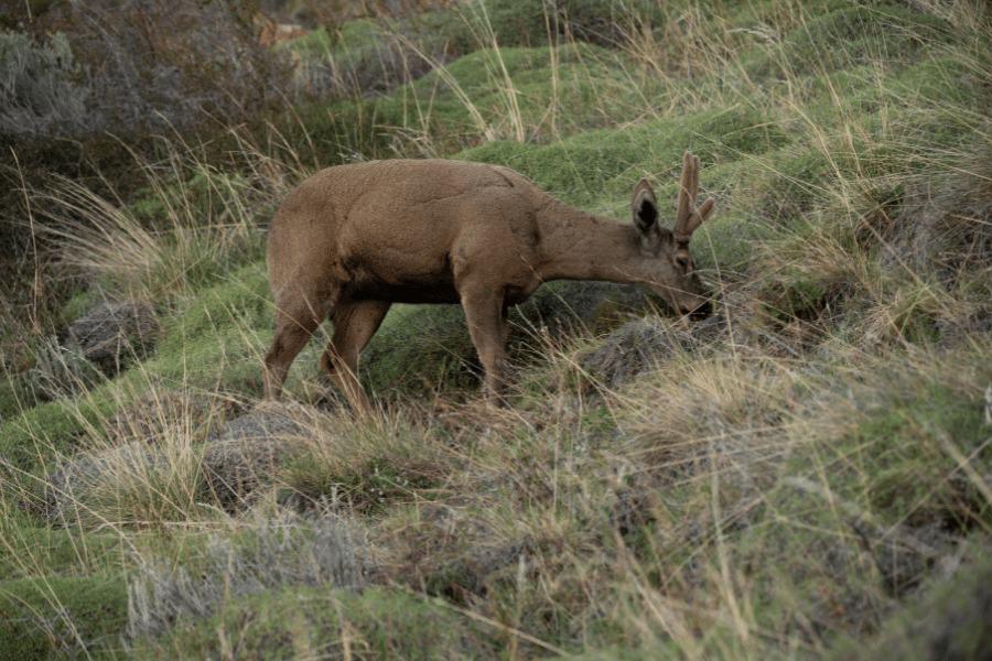 WhatsApp Image 2022-04-25 at 7.25.06 PM (2)