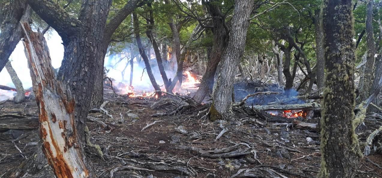 incendio Estancia Cristina 02