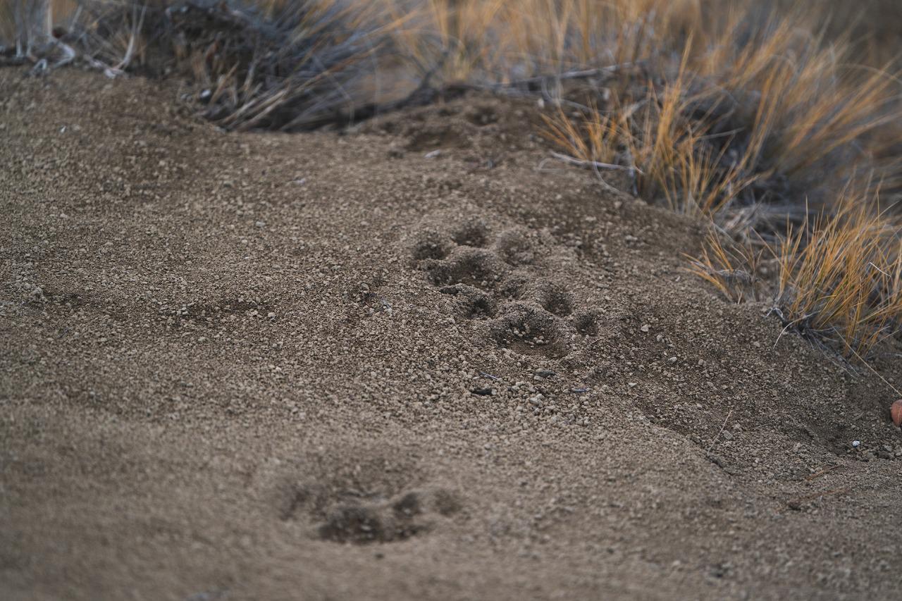 WhatsApp Image 2022-06-16 at 11.29.39 AM