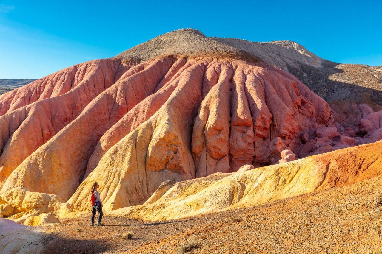 263331239_1975649369263530_2307088103138740642_n