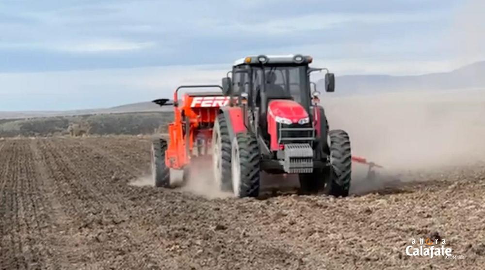 Cerro Frias8 [AUDIO FMD]