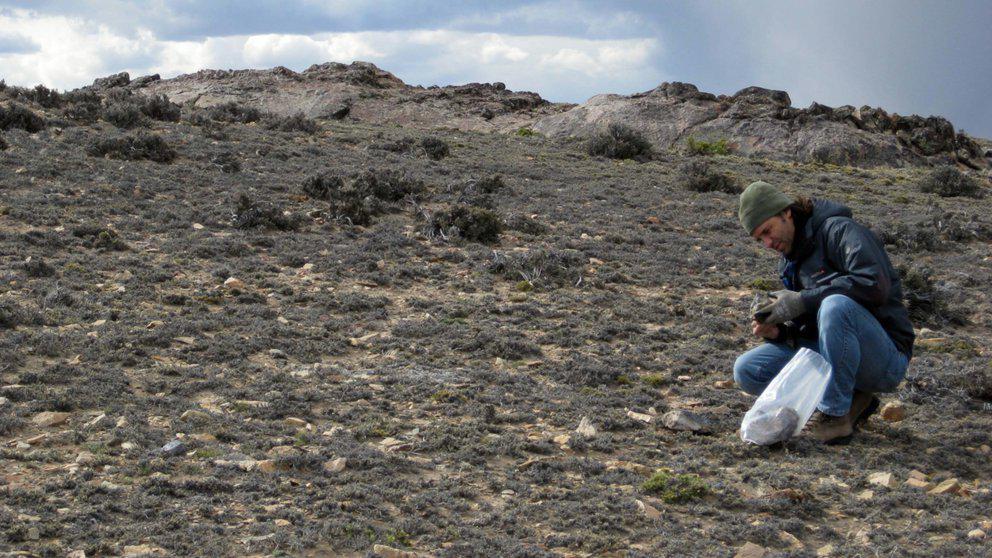 FEBBIXGTWRGCRG3ELQWN73O7GQ