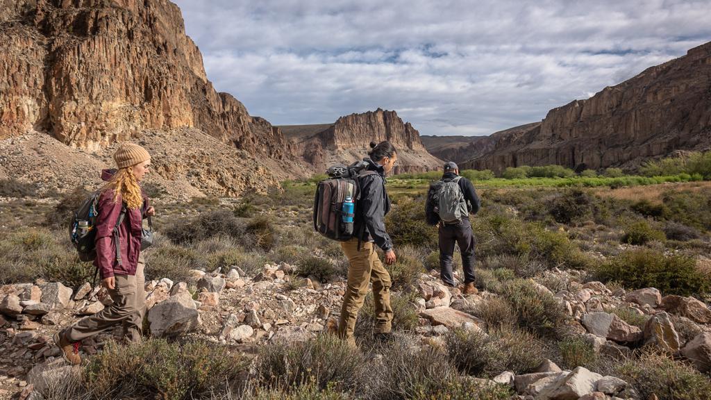 WhatsApp Image 2022-11-24 at 12.17.10 (5)