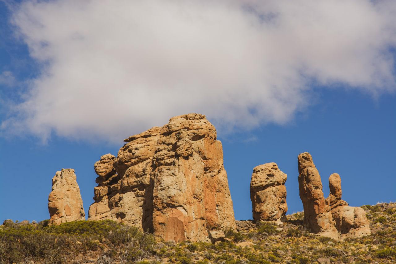 WhatsApp Image 2022-08-05 at 6.34.28 PM