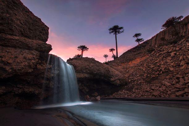 Ph Candela Alcorta NQN