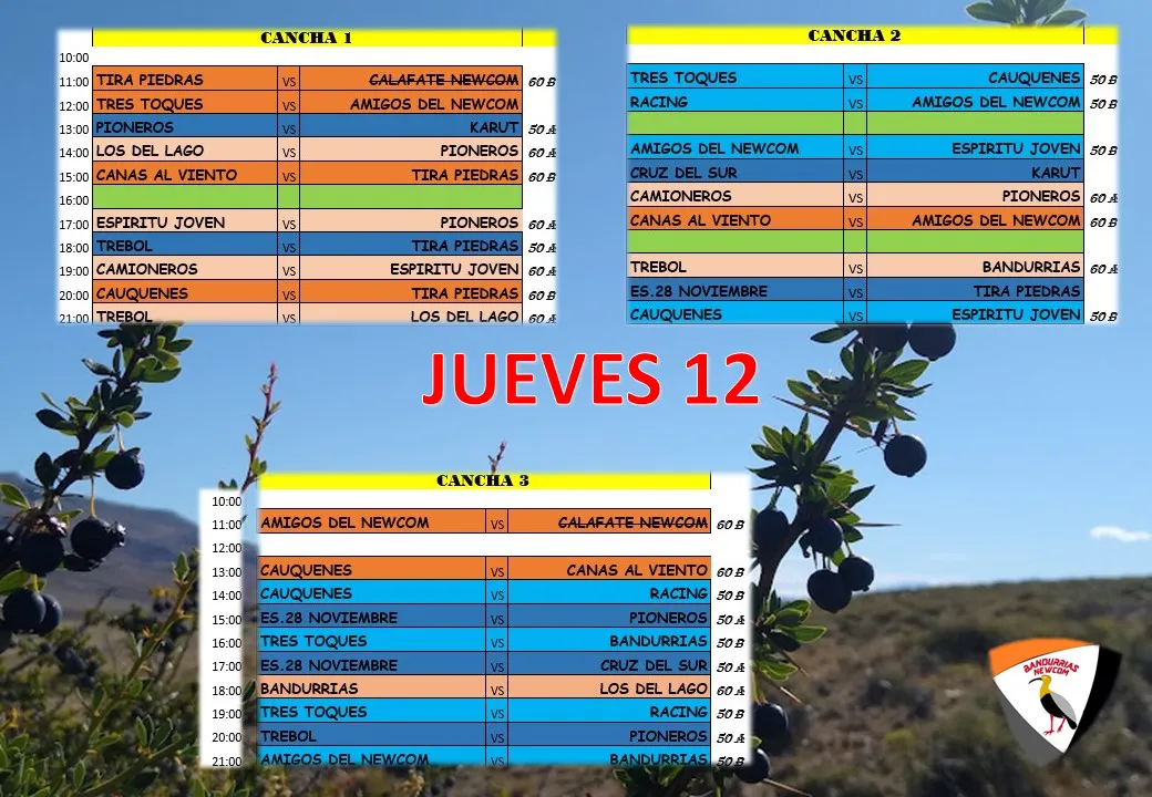 Newcom Torneo Bandurrias Jueves 12 de octubre 2023