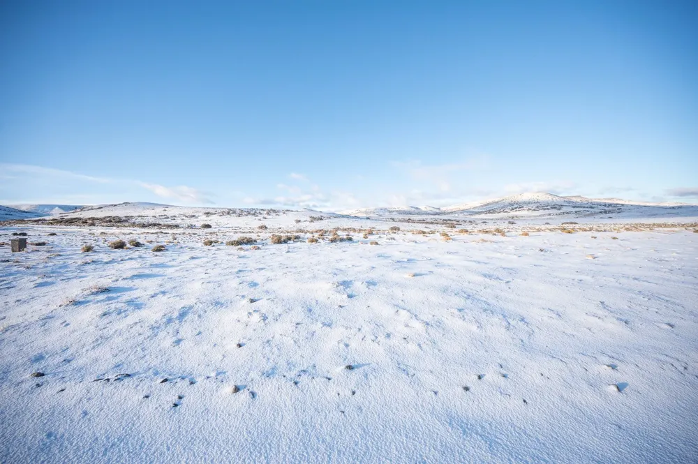 Parque Patagonia - Invierno 2023 d
