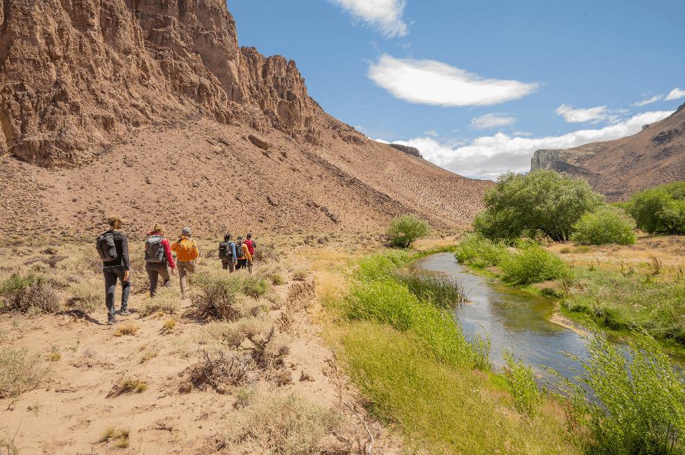 WhatsApp Image 2023-02-24 at 11.00.15