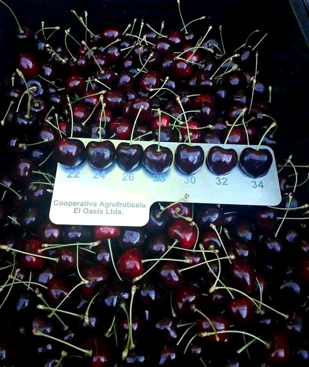 Cerezas LosAntiguos (2)