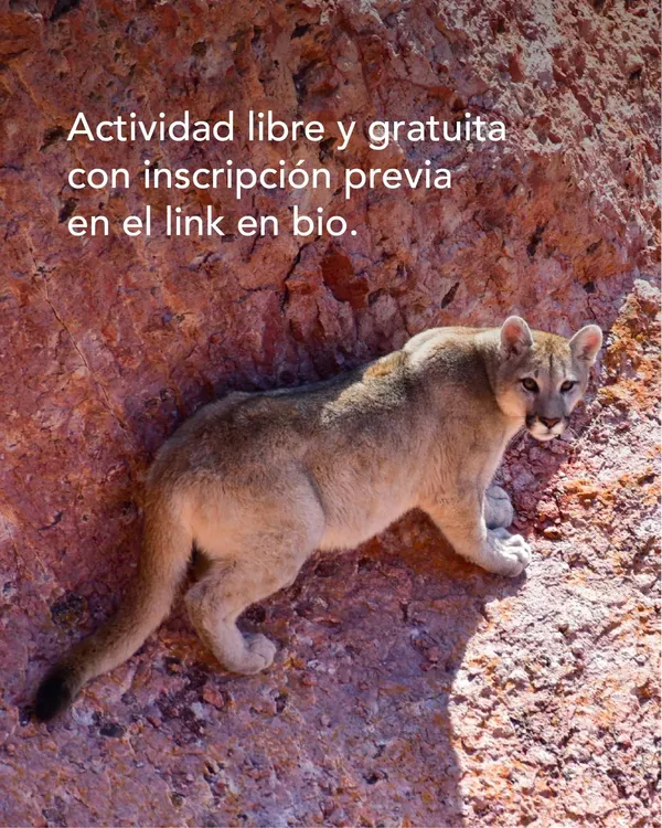 03EDB82C-601E-414F-A302-B42146205D88