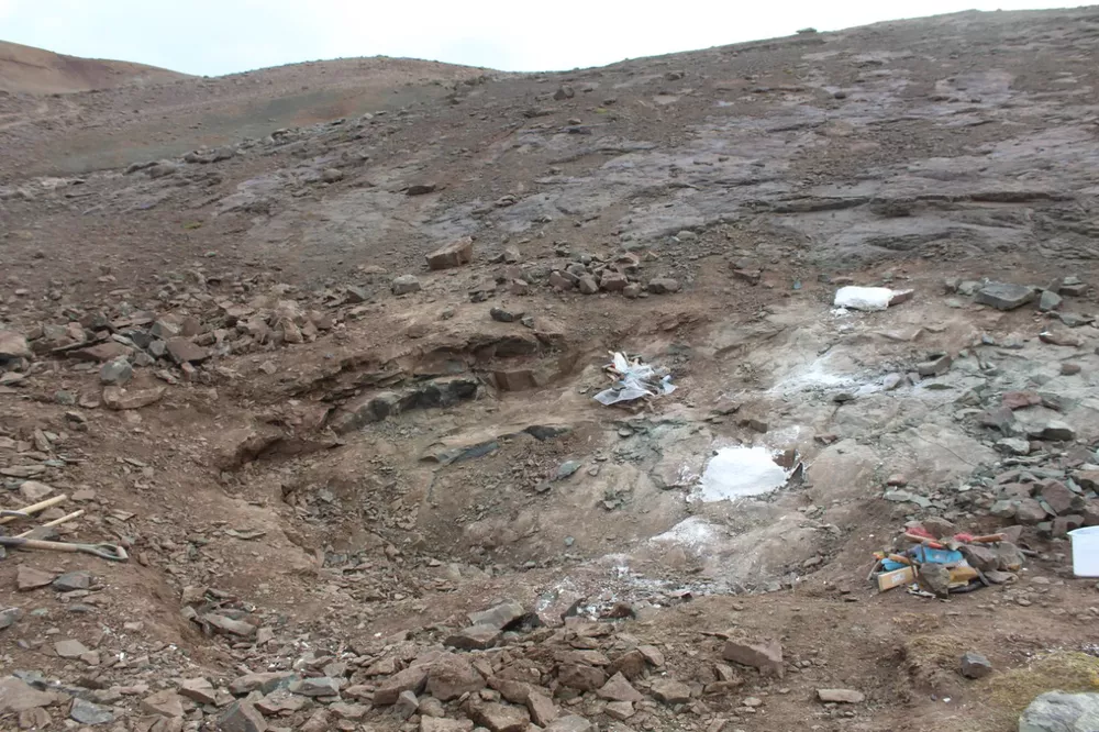 MAIP Lugar del halllazgo