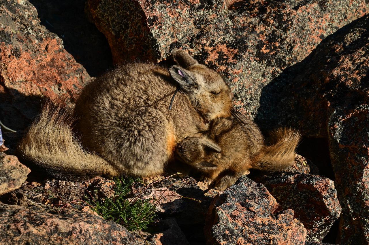 WhatsApp Image 2022-04-29 at 9.46.14 AM