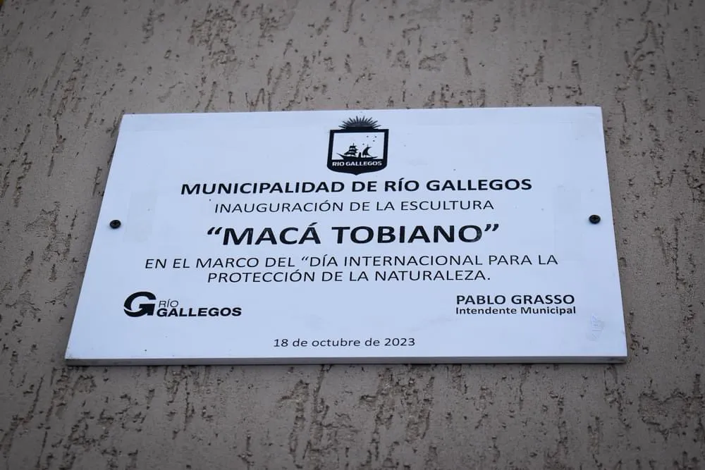 9A1F4767-F252-486F-8FD7-3F16607ACB1B