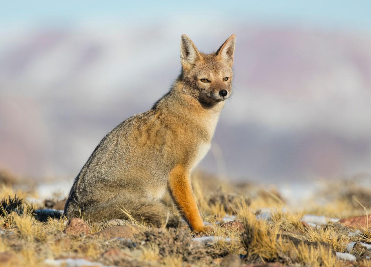 WhatsApp Image 2022-12-23 at 10.58.12