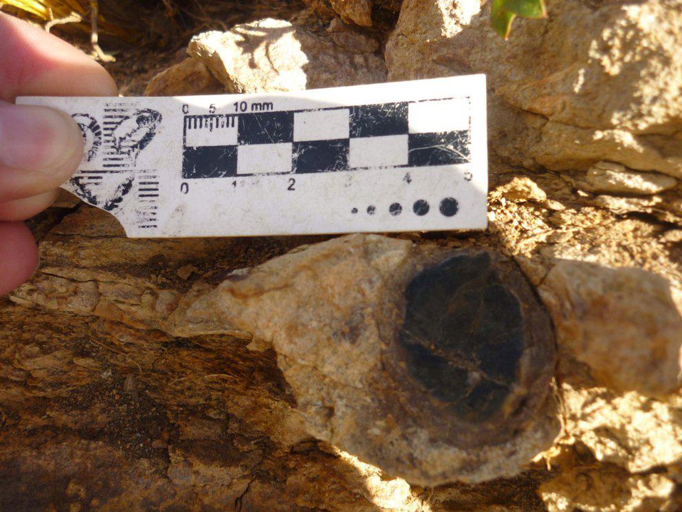 IFWHHTMFWVH7LINOKLWBX5QKQ4