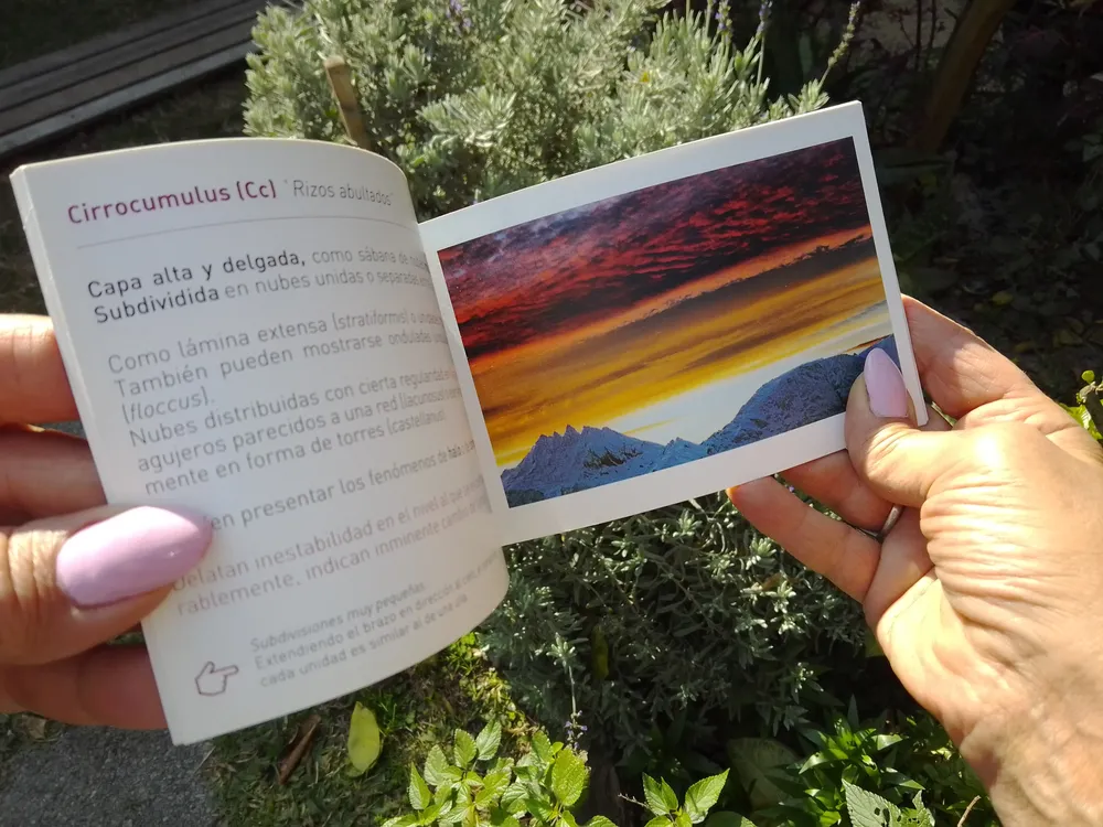 IMG_20220722_125558_966