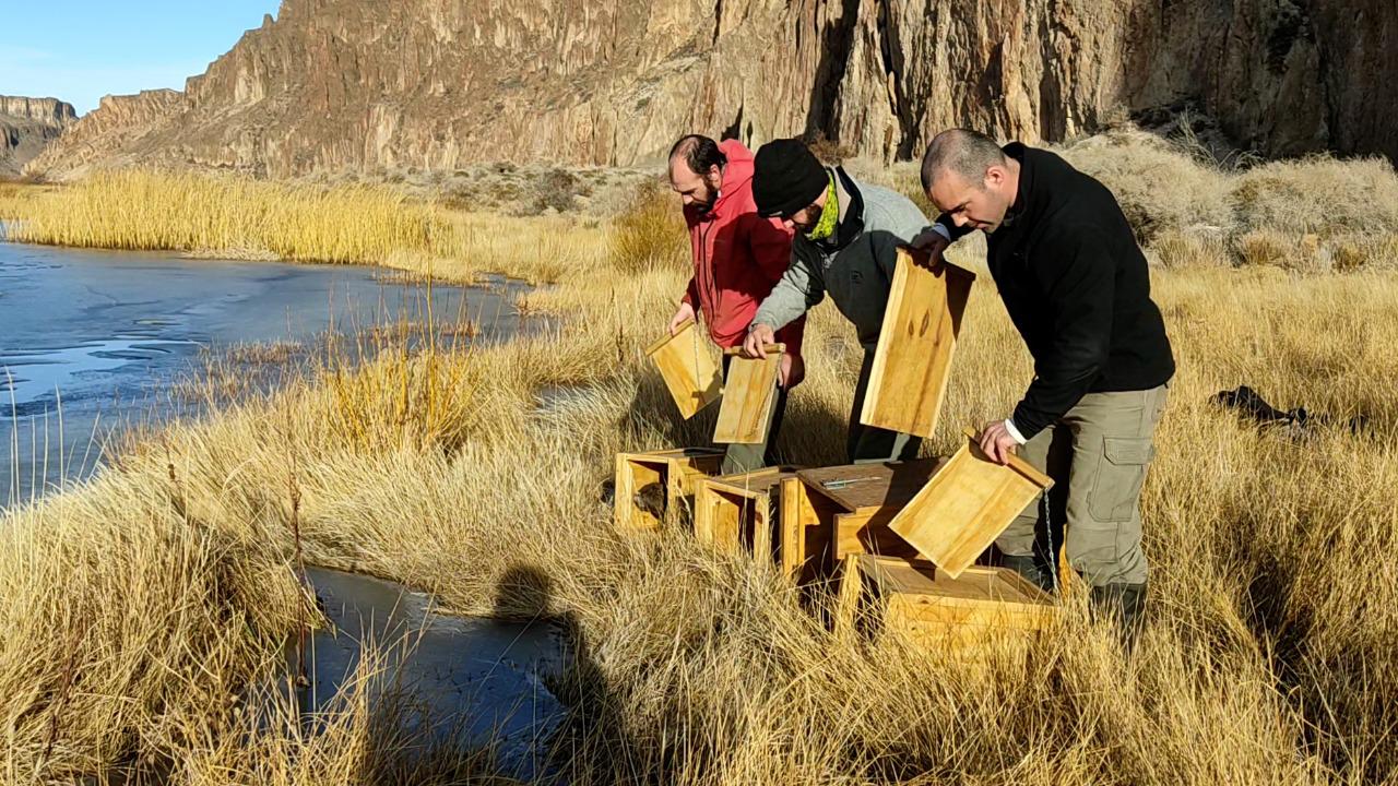 WhatsApp Image 2023-01-18 at 15.42.48