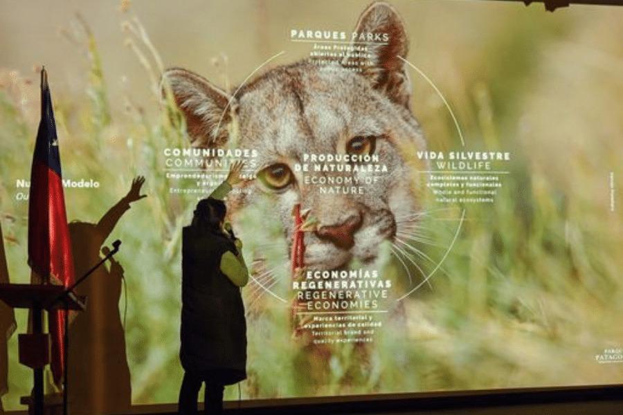 WhatsApp Image 2022-06-24 at 1.03.55 PM