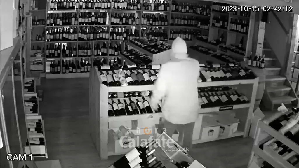 robo LTV 1 [AUDIO FMD]