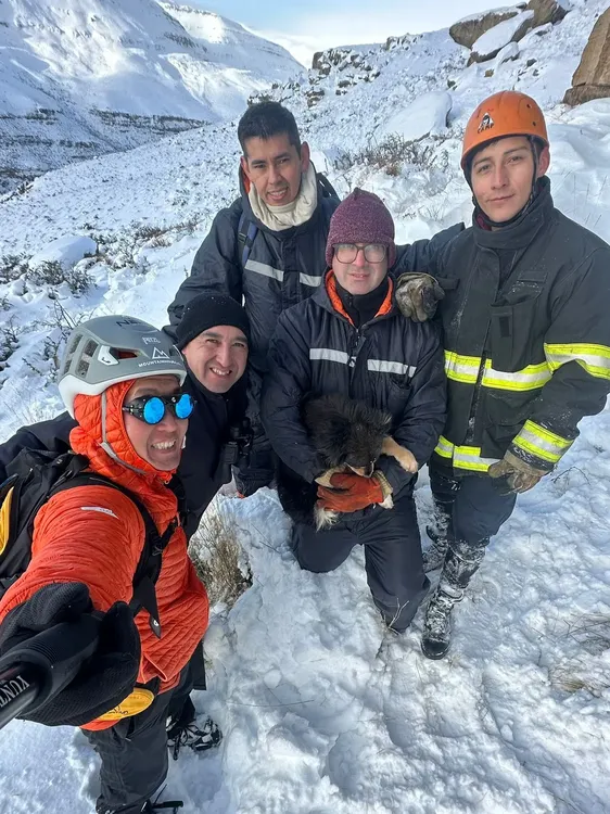 noticiaspuertosantacruz.com.ar - Imagen extraida de: https://ahoracalafate.com.ar//contenido/23645/video-bomberos-rescatan-un-perro-que-estaba-al-borde-de-un-acantilado