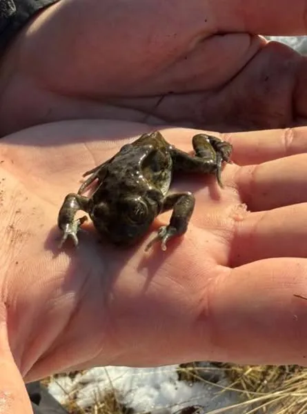 529236043_1179743487516614_2762076605243503172_n