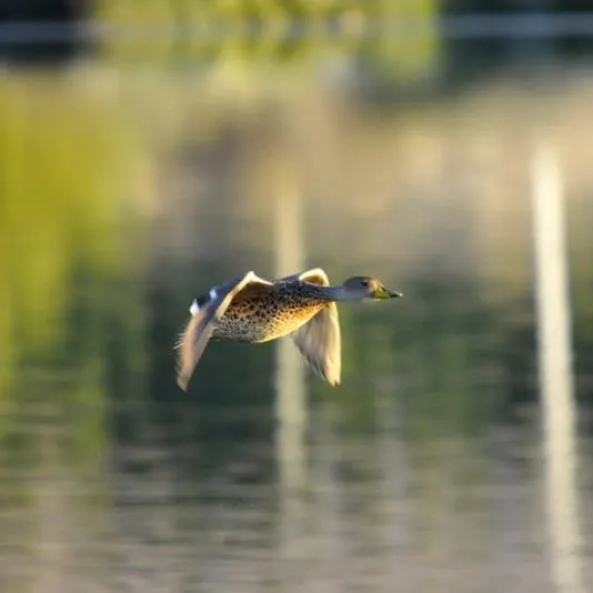 f5b8fcf4-dfa0-44d6-91f4-2eda20d3bd99