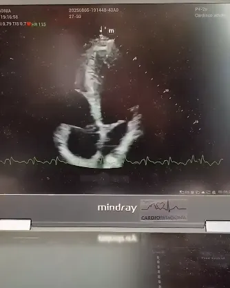 Captura de pantalla 2025-12-30 164102