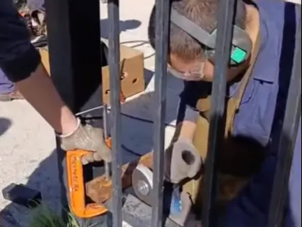 Captura de pantalla 2025-09-27 120135