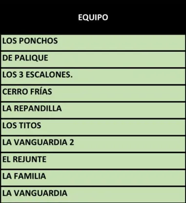 Aparte Campero equipos final 2025