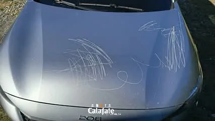 WhatsApp Image 2026-04-07 at 22.37.37