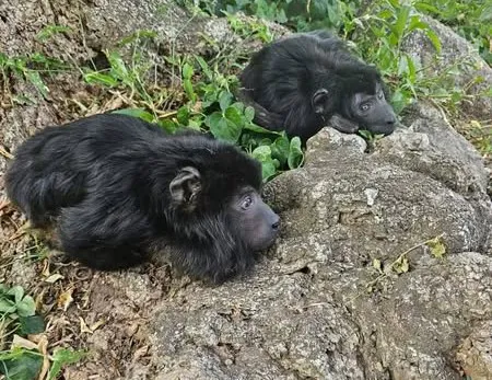 473157912_1128449058680794_1560890325634122404_n