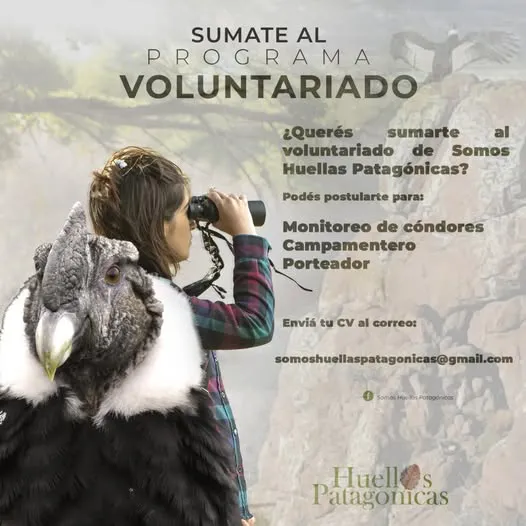 488365865_17979881021818788_3301550166916410736_n