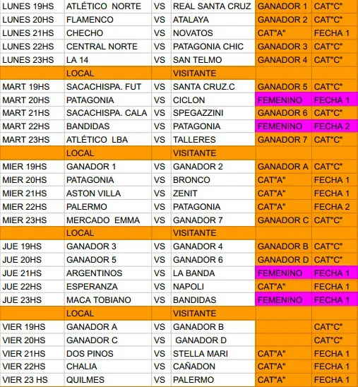 Futsal Programa de partidos de la C, A y Femenino