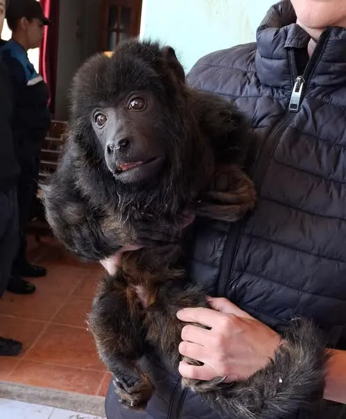 470644980_1121792136621010_6523098481637355046_n