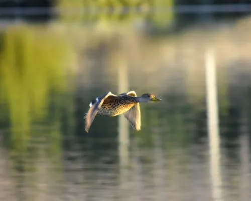 AEA822E8-DA18-4B58-9572-844747C14227