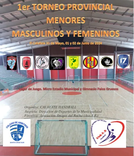Flyer Handball Patagónico