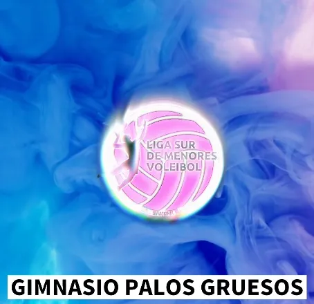 Voley Liga Sur sub 16 abril 2025