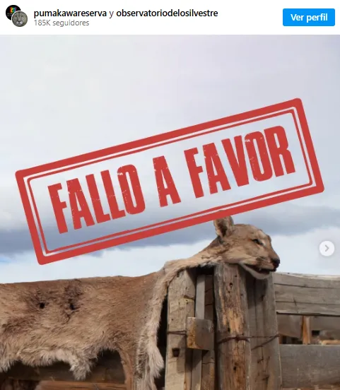 Captura de pantalla 2025-07-27 095712