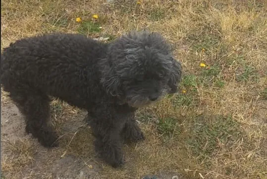 WhatsApp Image 2025-09-16 at 19.51.33