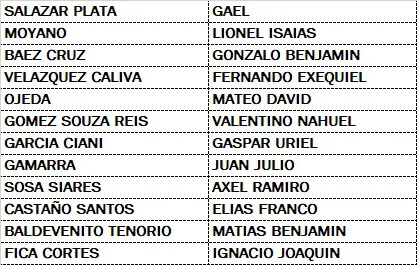 Voley Sub 14 masculino Santa Cruz junio 2025