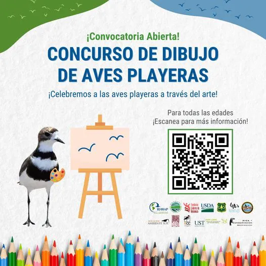 459034477_935339871964564_3823912050042374211_n