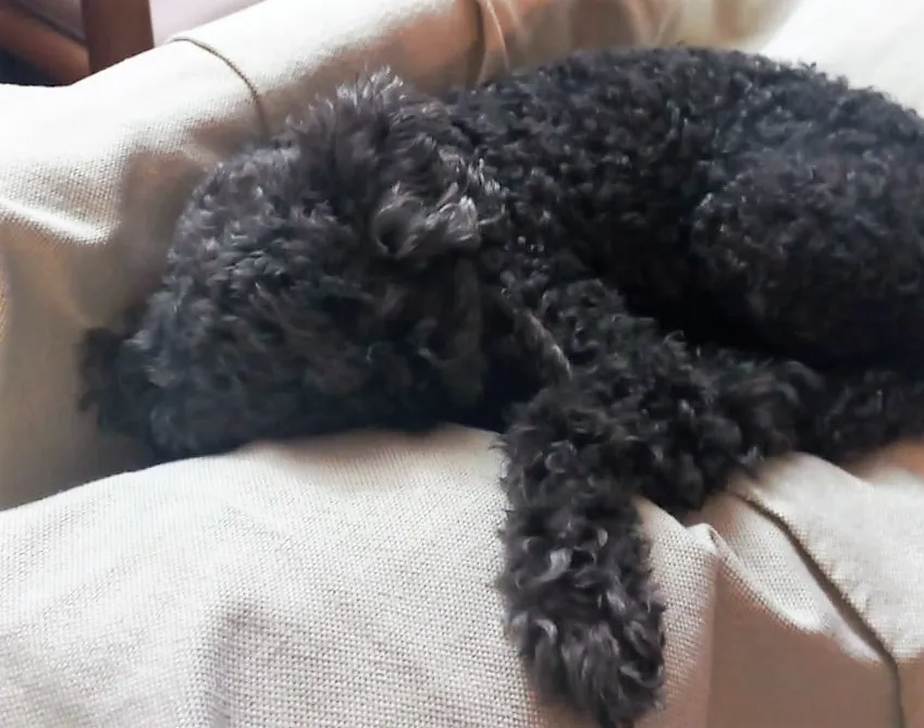 WhatsApp Image 2025-09-17 at 21.10.20